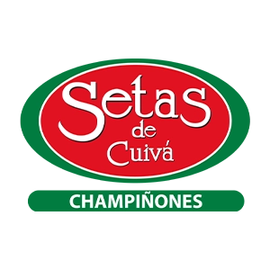 setas-corlor